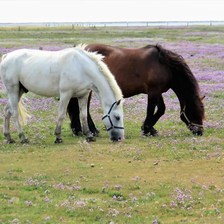Vriesenhuus Westvriesen Juist